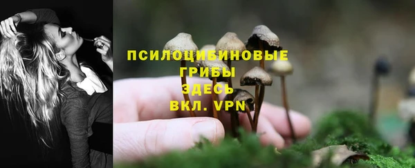 трава Богданович